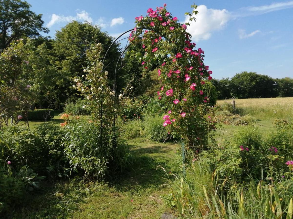 Bed and Breakfast Les Berges De La Planchette Yvignac-la-Tour Zewnętrze zdjęcie